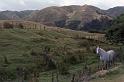 WT 0200 028-15 New Zealand